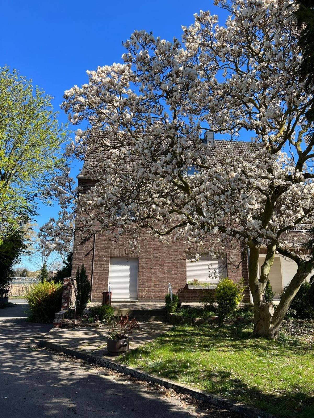 Apartamento Haus Neuss-1.Og Exterior foto